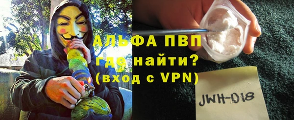 PSILOCYBIN Волосово