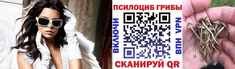 где найти наркотики Дальнереченск ОМГ ОМГ онион Галлюциногенные грибы мицелий